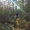 Grinding up the Sulphur Springs Gap Trail.