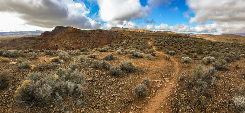 Climbing the singletrack on Rim Runner Loop.