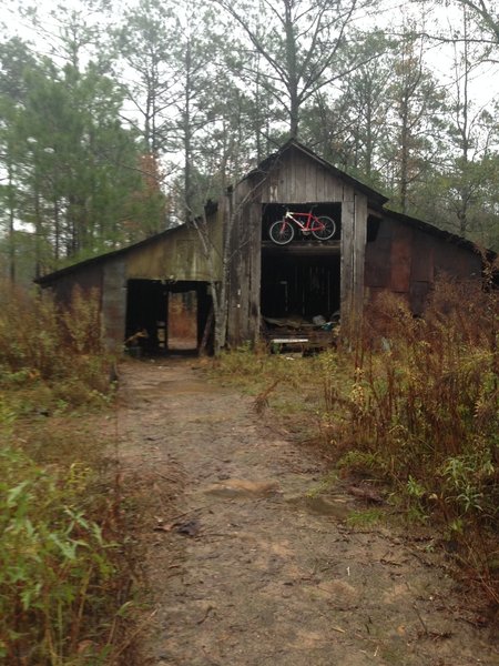 The Knott Head Loop runs through a Barn and then rounds a pond levee to head back into the 357 section of MZT.