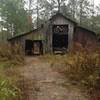 The Knott Head Loop runs through a Barn and then rounds a pond levee to head back into the 357 section of MZT.