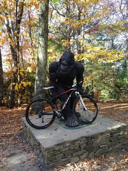 Take a break with the Woodbooger. A Woodbooger Sanctuary was created in the Flag Rock Recreation Area to protect this friendly creature.