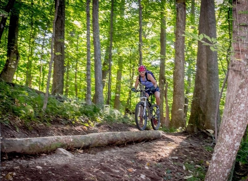 Flag Rock Area Trails - Something for everyone.