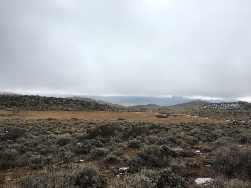 View of meadows and Owens Valley from 33E306.