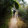 Typical of the singletrack along the Gabrielino Trail trail and the Arroyo.