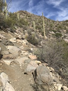Some of the easier rock sections along Wild Burro.