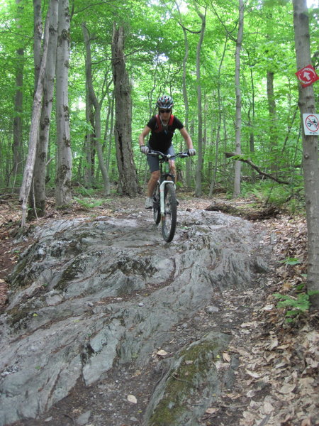 Going down on Eagle's Trail.