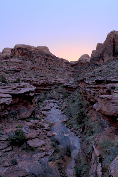 end of Porcupine Rim in the early morning.