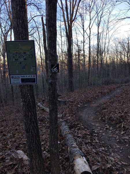 Expect good signage and a trail map at the east-side entry to Lower Bluff Trail.