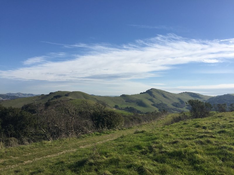 Heading towards the Belgum and San Pablo Ridge trail on a beautiful day.