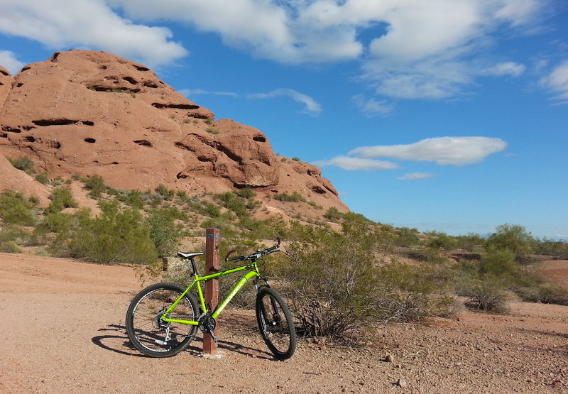 On the Double Butte Loop/Oh So Nice Loop looking east from near the ramada area.