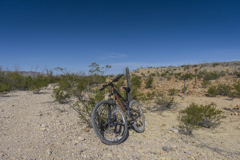 An old roadbed is slowly becoming singletrack along the Power Line Trail.