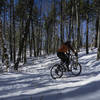 Winter comes to North Georgia but one day a year - you've got to take advantage of it when you can!