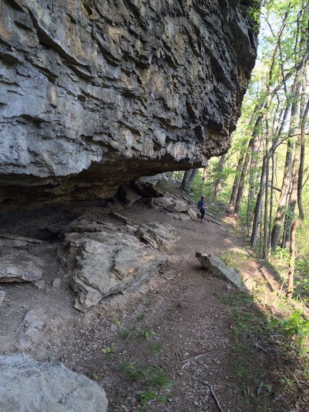 Alum Cave Rock Shelter is a must-see on the Alum Hollow Trail.