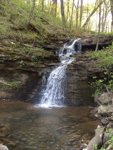 Alum Falls flows steadily in the spring.