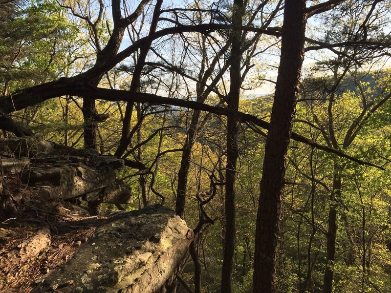 This is an alternate view of Alum Hollow from the bluff on Green Mountain.