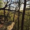 This is an alternate view of Alum Hollow from the bluff on Green Mountain.