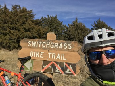 Switch Grass