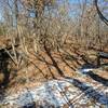 Old, decrepit ramps jump over the dry creekbed on Froflo.