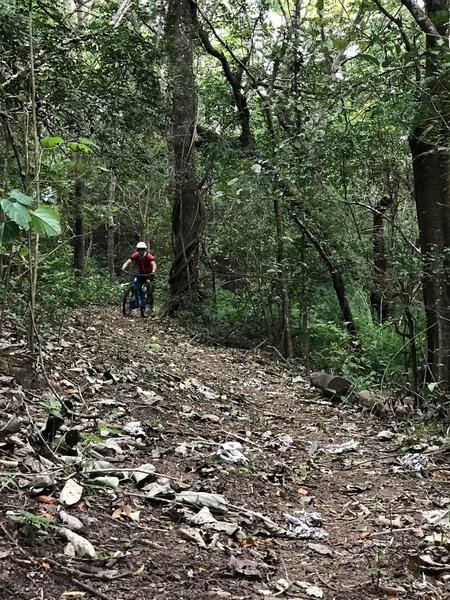 A rider finds flow on the Corral de Alambre Victoria.