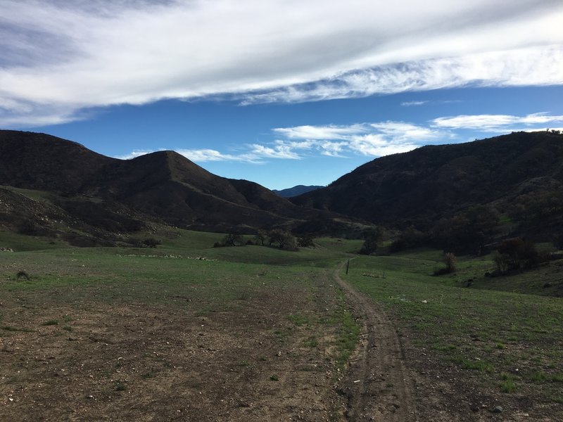 At the trailhead after recent heavy rains, looking out across the Camuesa Road Connector Trail.