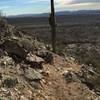 One of many downhill features on the Estrella Foothills Loop.