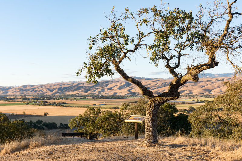 A scenic view area on the Arrowhead Loop Trail.