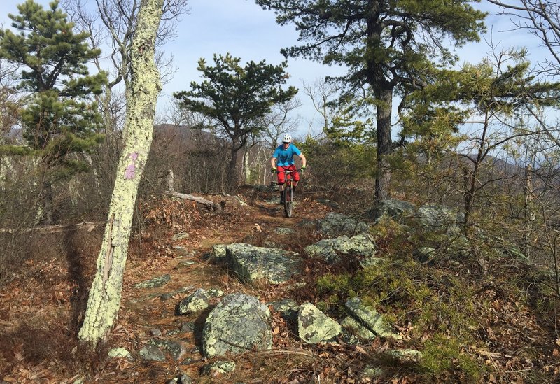 A short rock garden challenges riders just before the first DH.