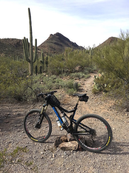 This is a view of the intersection and surrounding terrain when looking up the Explorer Trail.