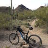 This is a view of the intersection and surrounding terrain when looking up the Explorer Trail.