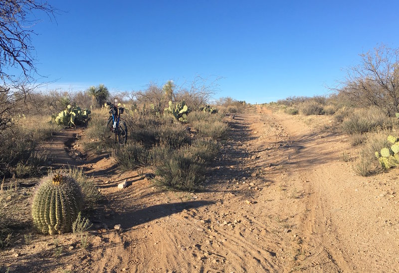 During any of the events held here, this fork is usually well marked, however at other times this turn onto the singletrack can be easily missed.