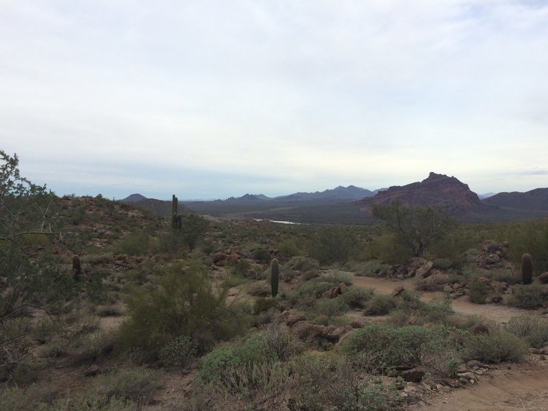 The Saddle Trail offers a great look at the Salt River.