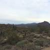 The Saddle Trail offers a great look at the Salt River.