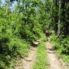 Pedaling through the amazing forest near Tronoša.