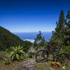 Occasional breaks in the pine forest gives glimpses of the Atlantic Ocean a mile below you.