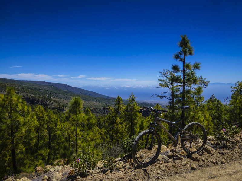The trails on the south side of Tenerife offer more open views than north side trails because the forest cover is a lot thinner because of less rainfall