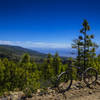 The trails on the south side of Tenerife offer more open views than north side trails because the forest cover is a lot thinner because of less rainfall