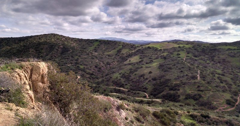 Looking south from Grasshopper trail.