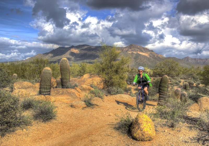 Cruising down Moon Rock Trail.