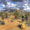 Cruising down Moon Rock Trail.