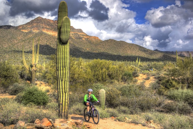 Cat Peaks to Blevins Trail.