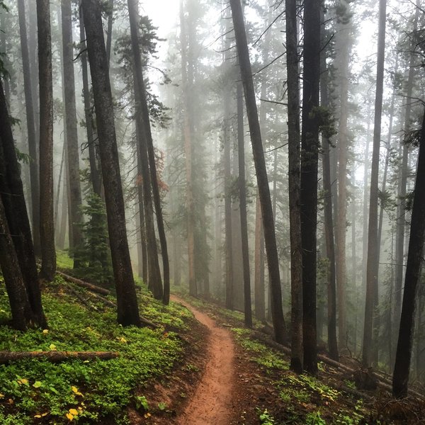 A foggy morning on Teocalli Ridge.