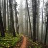 A foggy morning on Teocalli Ridge.