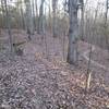 Leaf covered switchbacks on the North Loop.