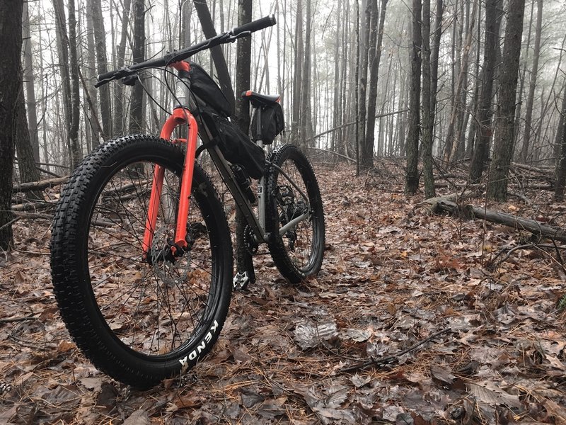 Misty Mountain Bike Hop, Tarr Ridge, Red River Gorge.