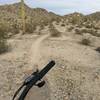 A gentle warm-up section near the start of the Estrella Foothills Loop.