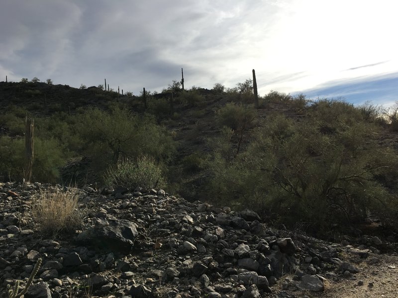 Heading into the foothills along the Estrella Foothills Loop.