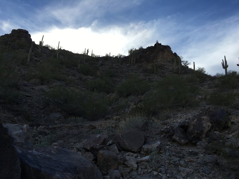 Looking up at the hills above.