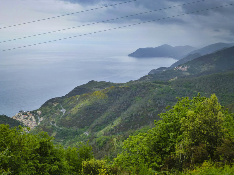 Riomaggiore as seen through a break and the Alta Via di Cinque Terre trail