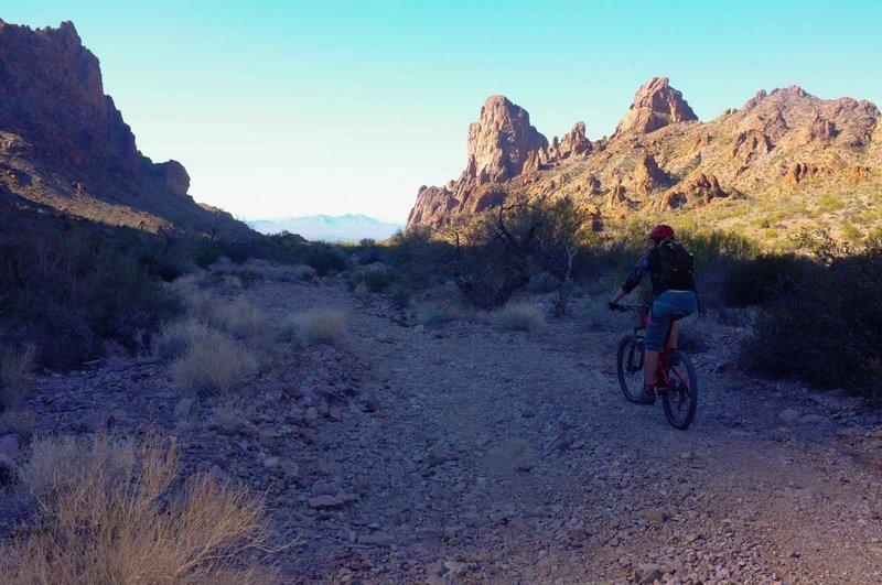 There's not a lot of shade in Kofa Queen Canyon unless the sun drops behind some of the rock formation.