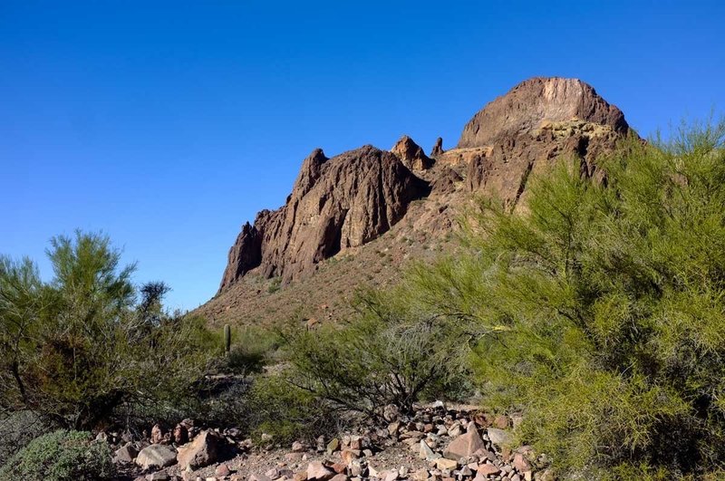 Distant rock towers decorate the backdrop in the Kofa Queen Canyon.